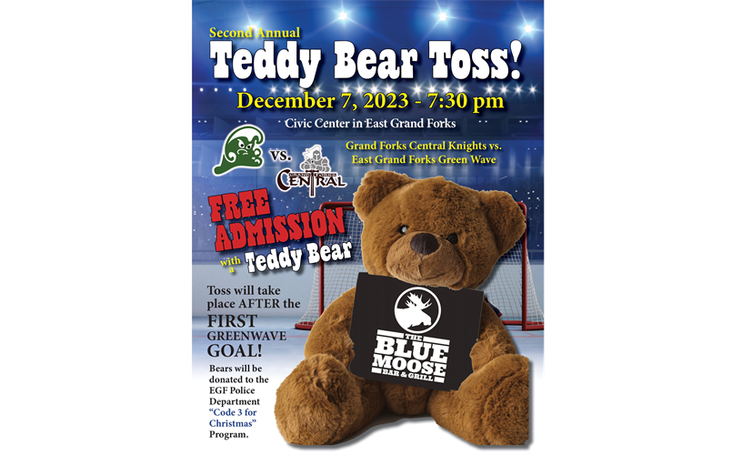 Blue Moose Teddy Bear Toss